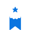 Medal Icon